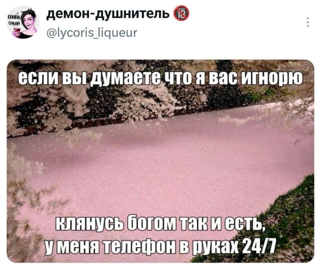 �������� �������� ������ ��� ���� (15 ����)