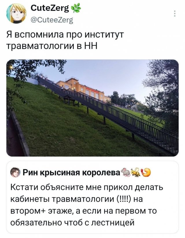 �������� �������� ������ ��� ���� (15 ����)