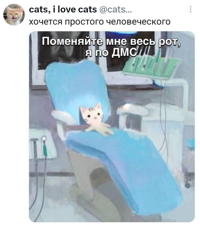 �������� �������� ������ ��� ���� (15 ����)