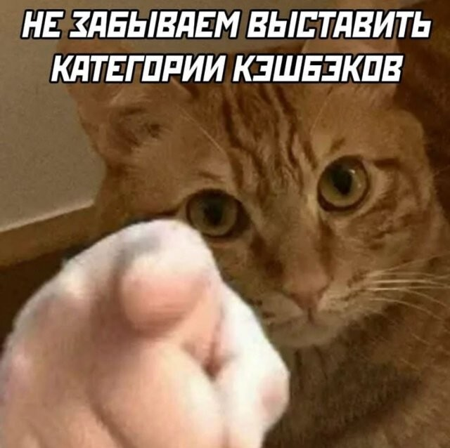 ������� ����� � ��������� �������� (15 ����)