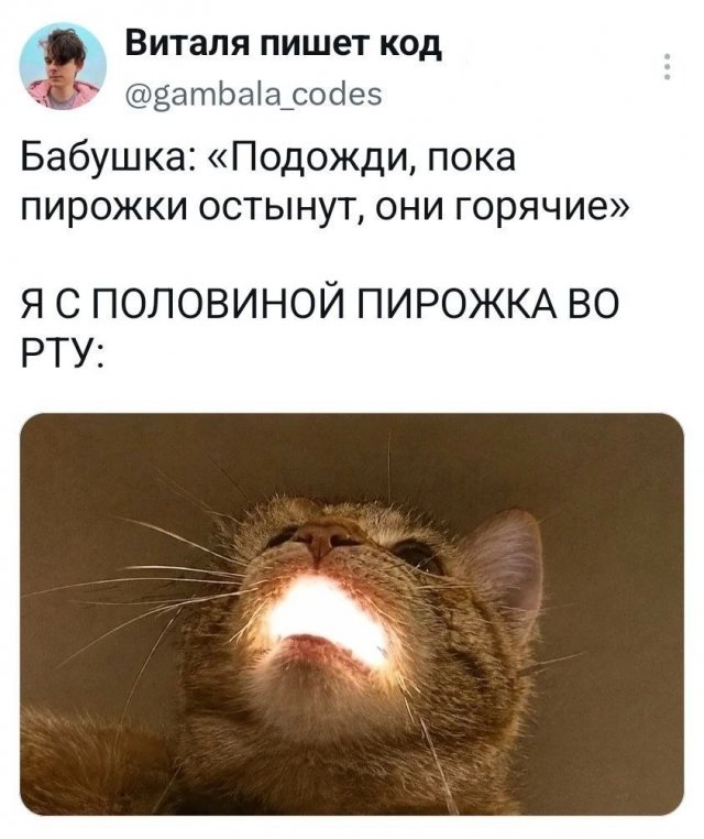 �������� �������� ������ ��� ���� (15 ����)