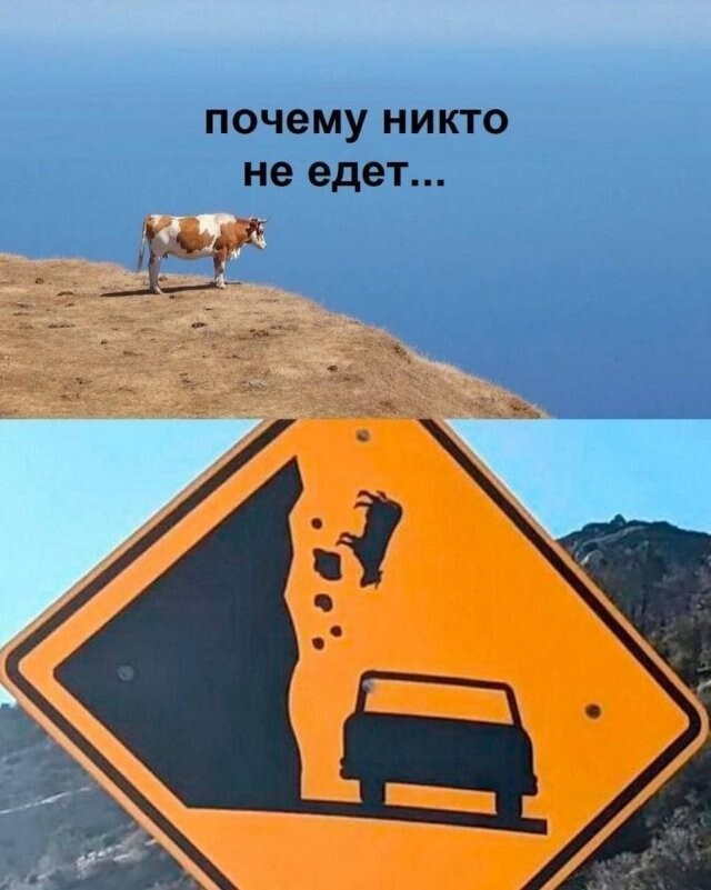 ������� ����� � ��������� �������� (14 ����)