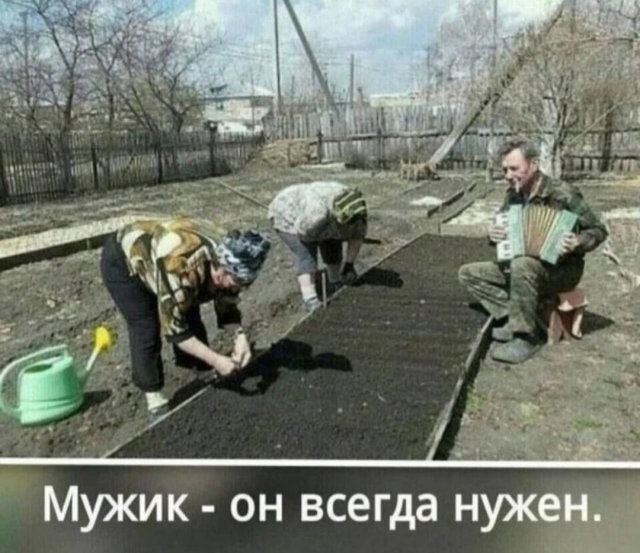 ������� ����� � ��������� �������� (14 ����)