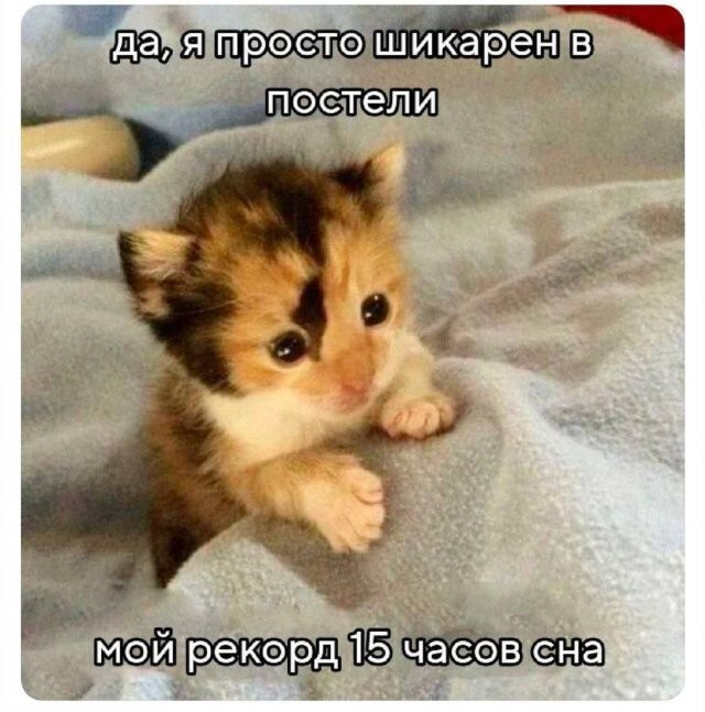������� ����� � ��������� �������� (14 ����)