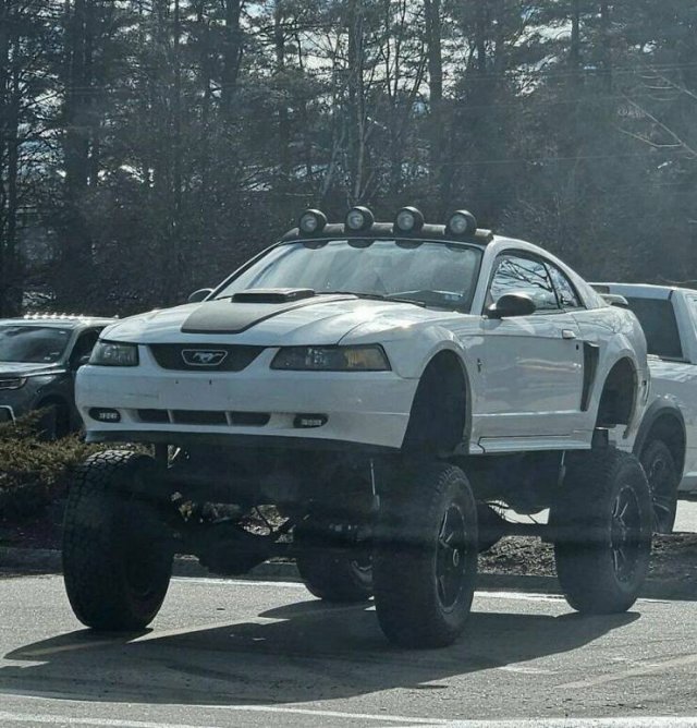 �������� ��������