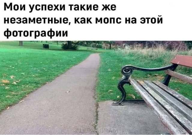 ������� ��������