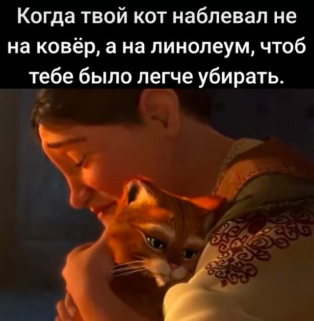 ������� ��������