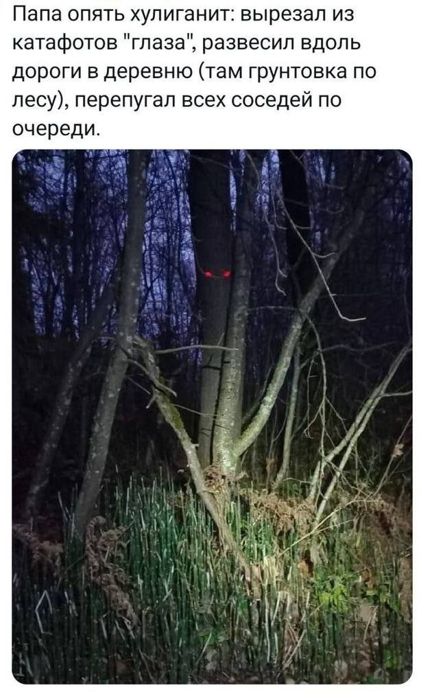 ������� ��������