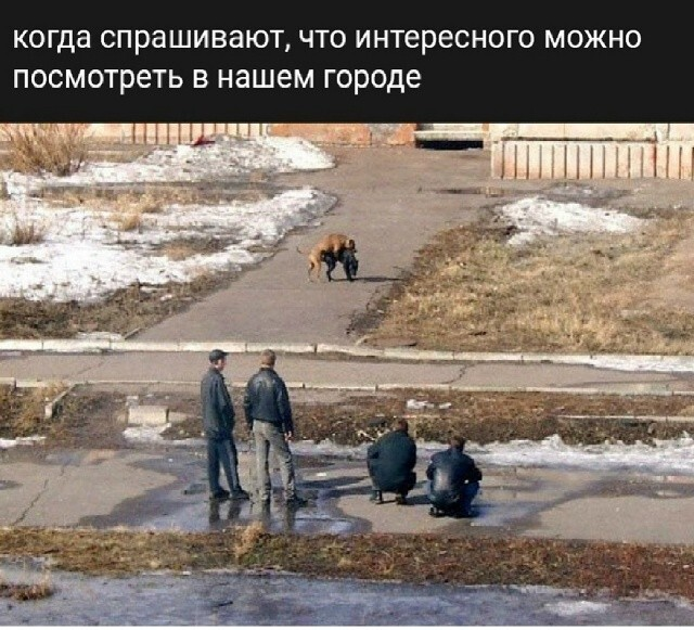 ������� ����� � ��������� �������� (20 ����)