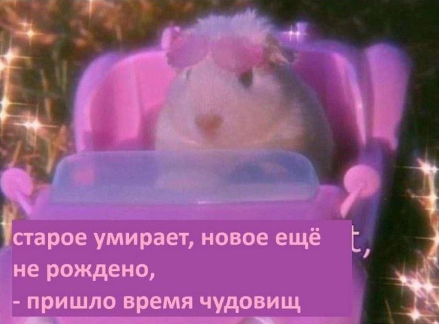 ������� ����