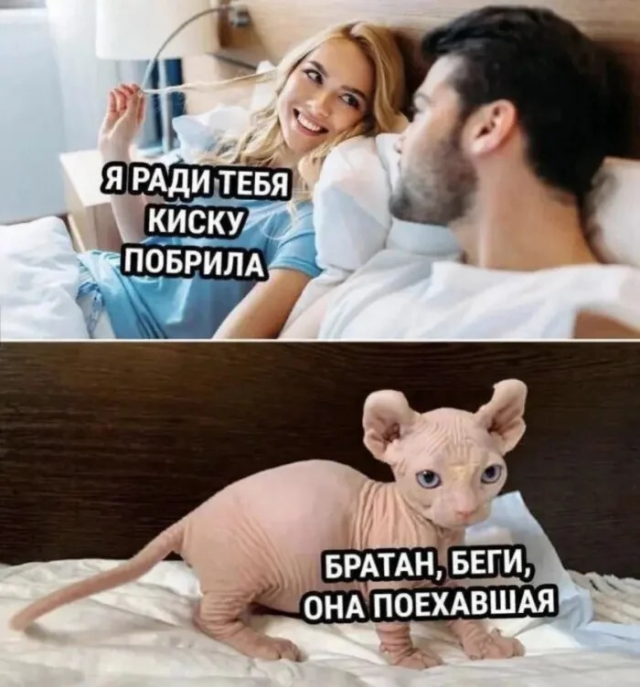 ������� ����� � ��������� �������� (20 ����)