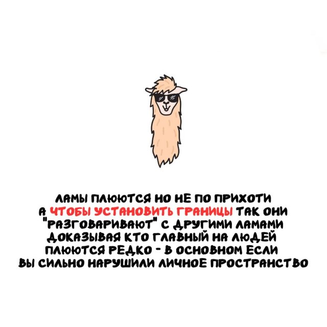 ���������� ����� �� ��� ������ ����� (15 ����)
