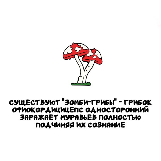 ���������� ����� �� ��� ������ ����� (15 ����)