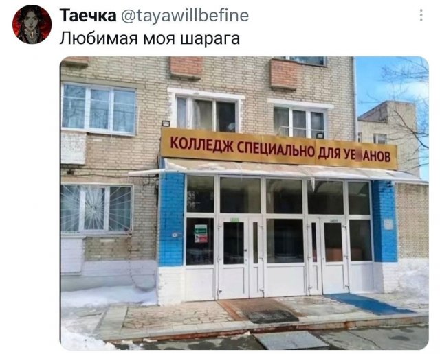 �������� �������� ������ ��� ���� (15 ����)