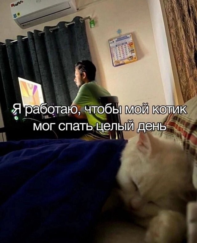 ������� ����� � ��������� �������� (13 ����)