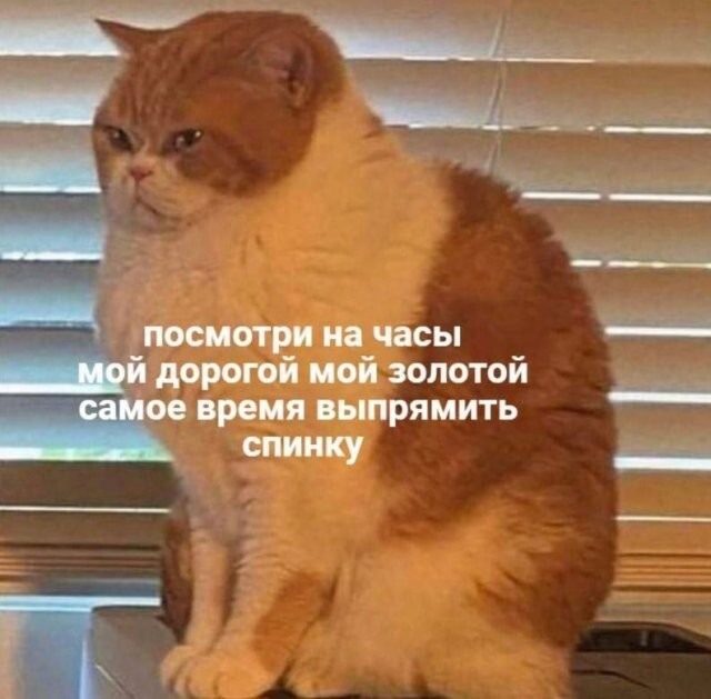 ������� ����� � ��������� �������� (13 ����)