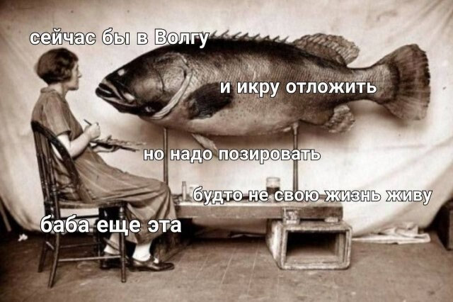 ������� ����� � ��������� �������� (13 ����)