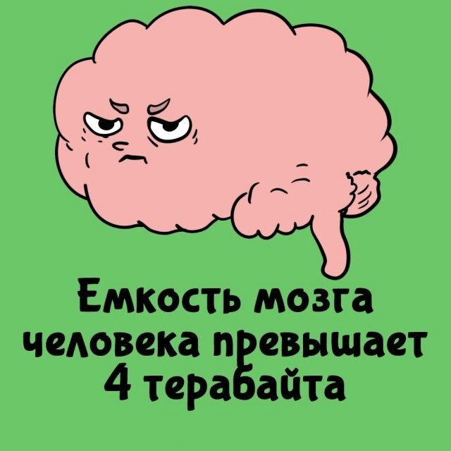 ���������� ����� �� ��� ������ ����� (15 ����)