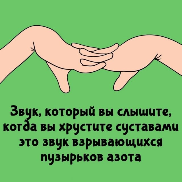 ���������� ����� �� ��� ������ ����� (15 ����)