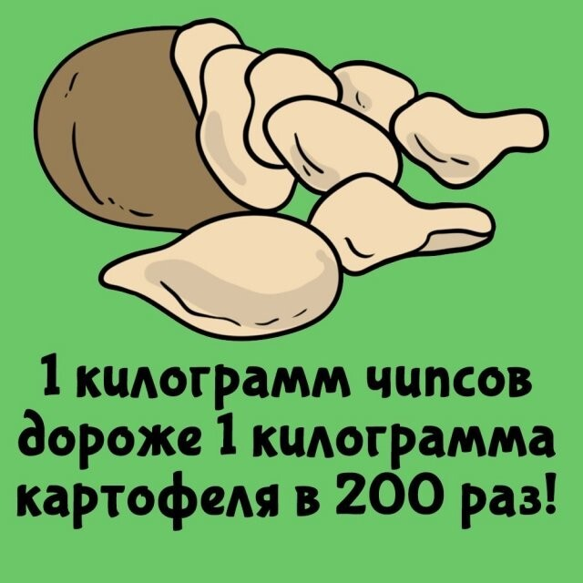 ���������� ����� �� ��� ������ ����� (15 ����)