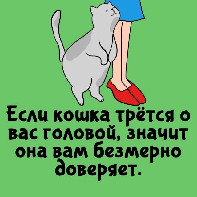 ���������� ����� �� ��� ������ ����� (15 ����)