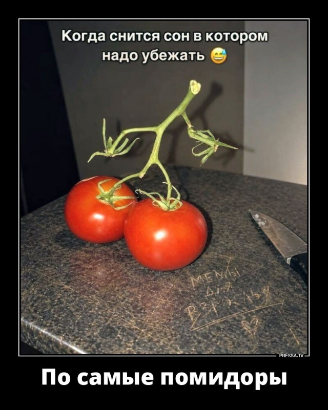 ������������ ��� �������� ���������� (24 ����)