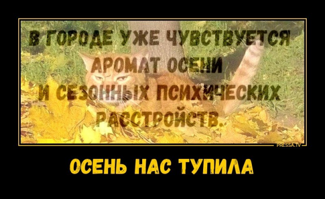 ������������ ��� �������� ���������� (24 ����)
