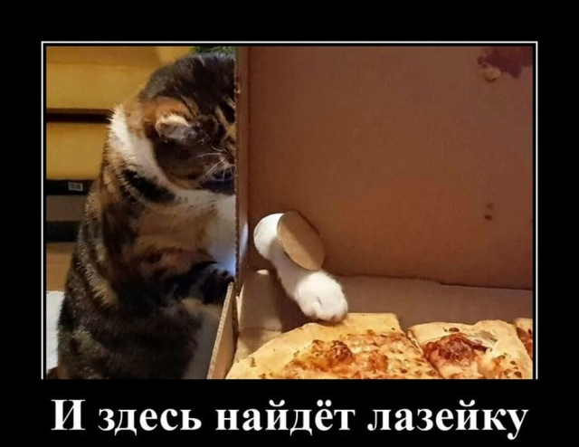 ������������ ��� �������� ���������� (24 ����)