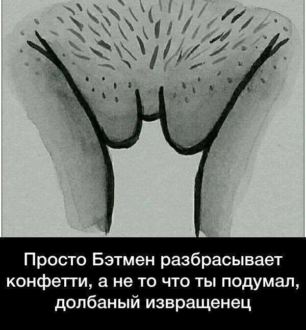 ������� ����� � ��������� �������� (20 ����)