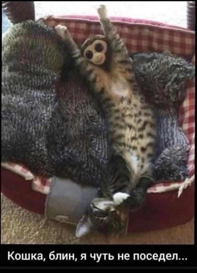 ������� ����� � ��������� �������� (20 ����)
