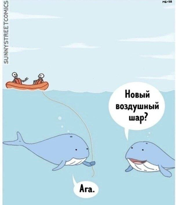 ������� ����� � ��������� �������� (15 ����)