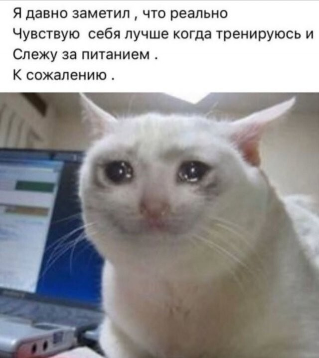 ������� ����� � ��������� �������� (15 ����)