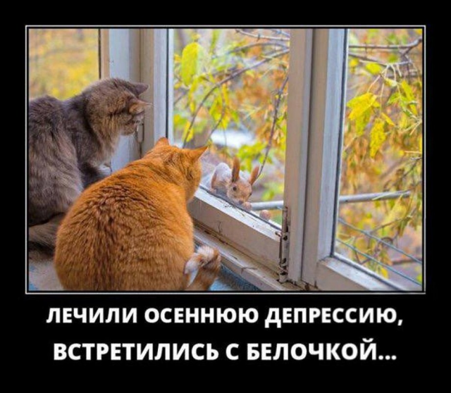 ������������ ��� �������� ���������� (20 ����)