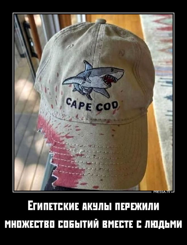 ������������ ��� �������� ���������� (20 ����)