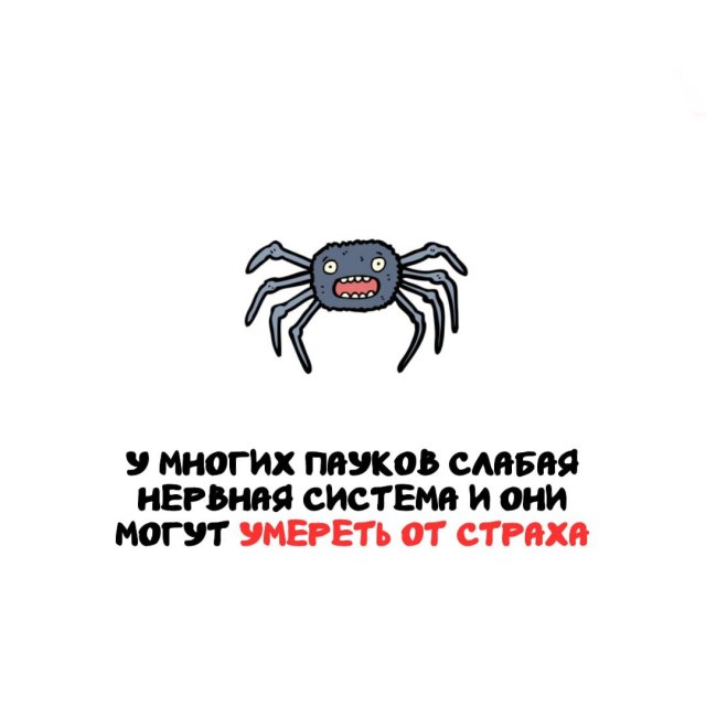 ���������� ����� �� ��� ������ ����� (15 ����)