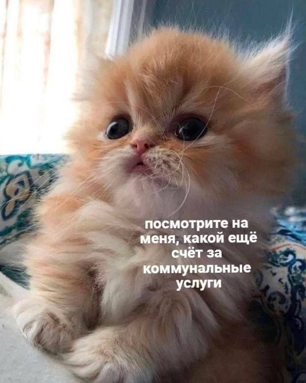 ������� ����