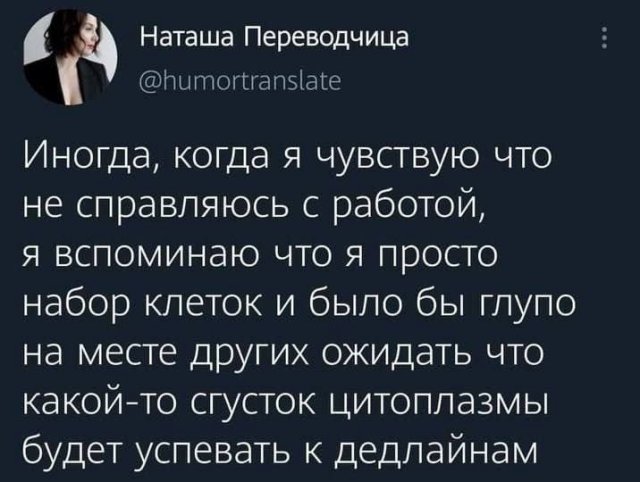������� ����